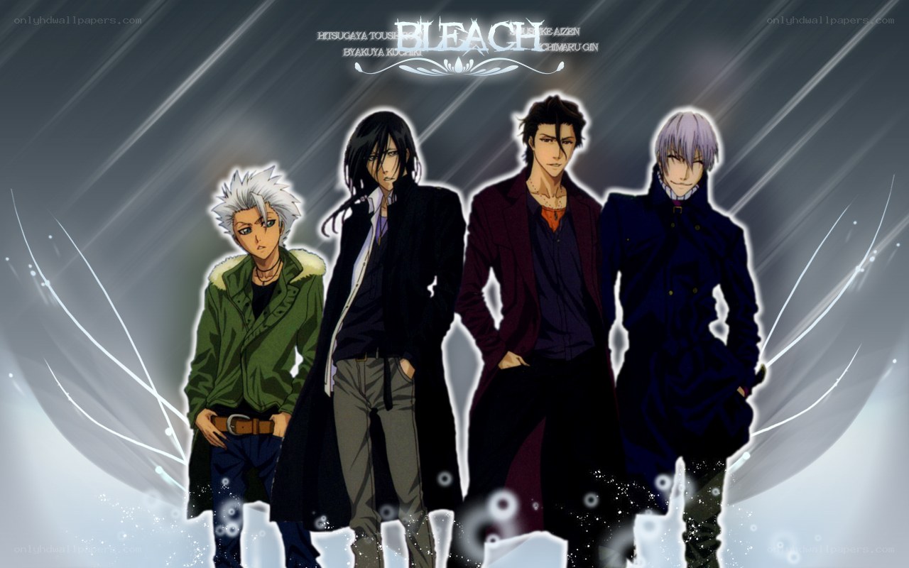 Bleach anime character lineup