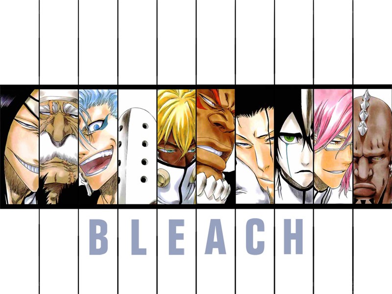 Bleach anime character lineup