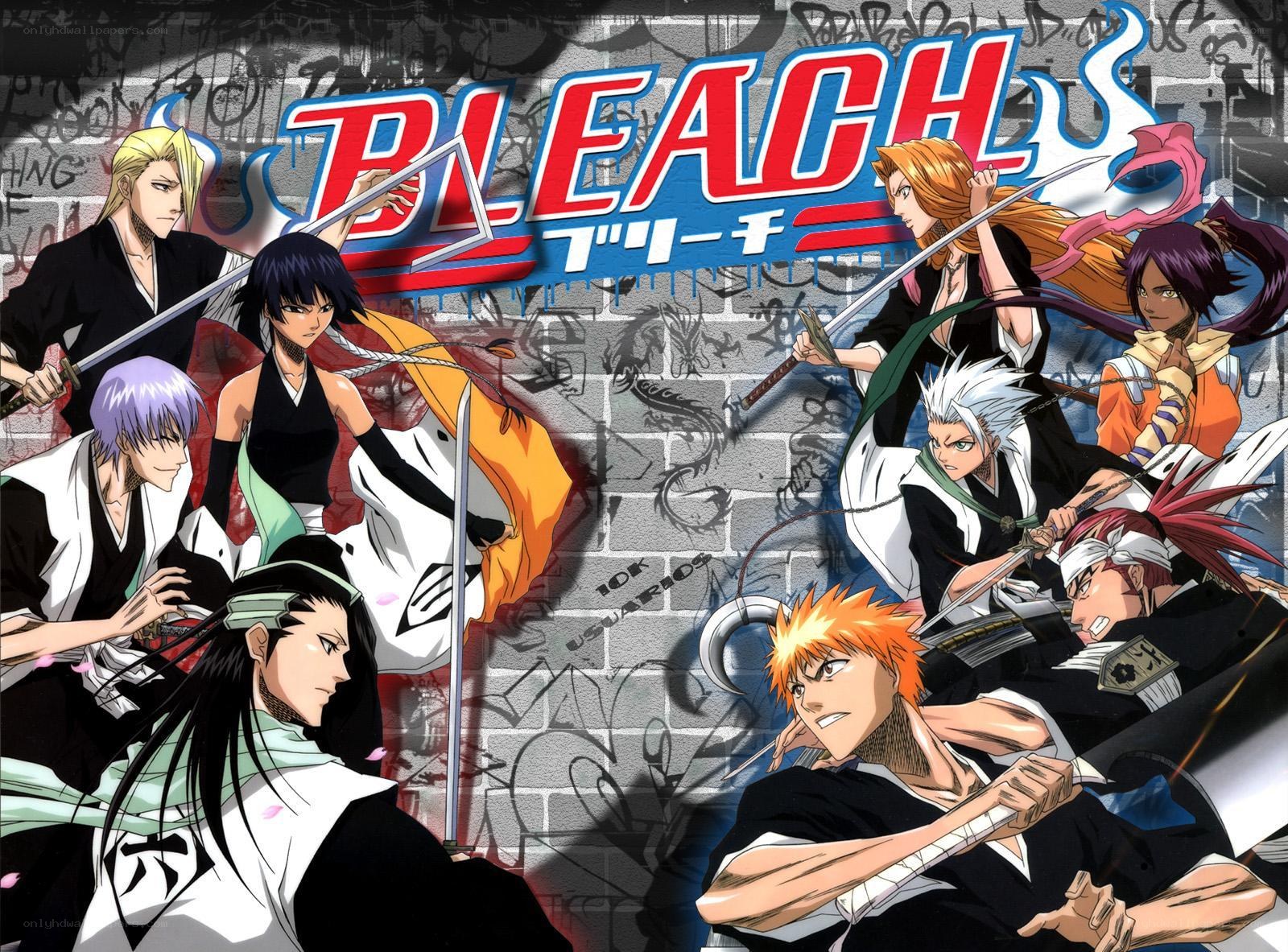 Bleach anime character lineup