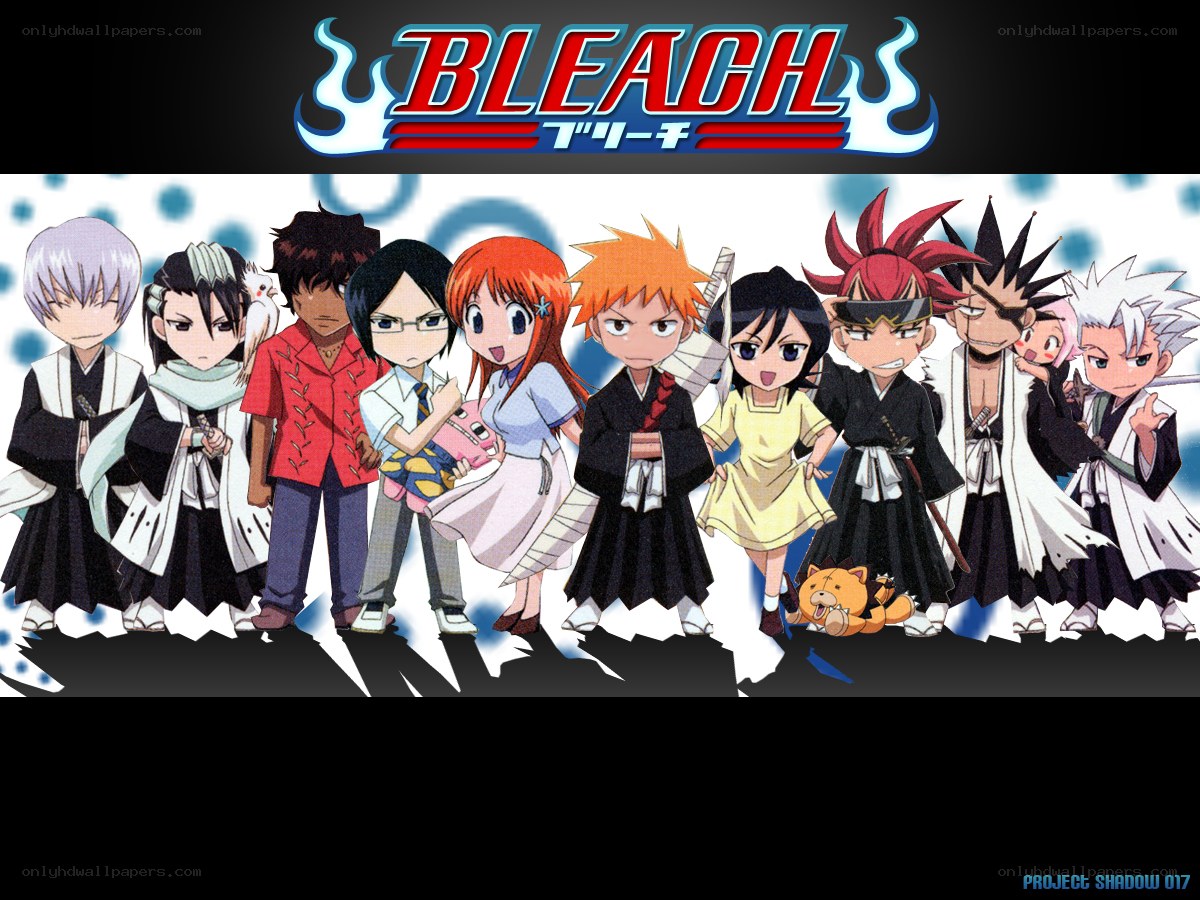 Bleach anime character lineup
