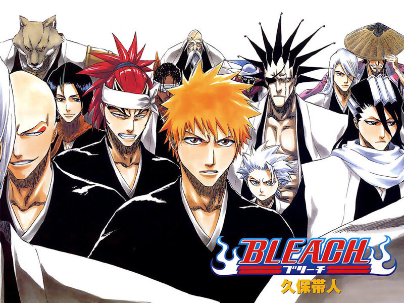 Bleach anime character lineup