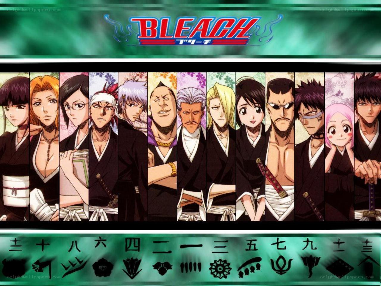 Bleach anime character lineup