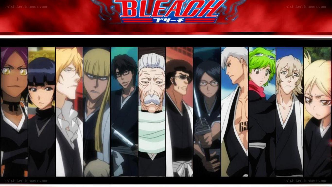Bleach anime character lineup
