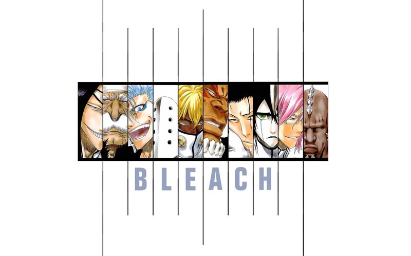 Bleach anime character lineup