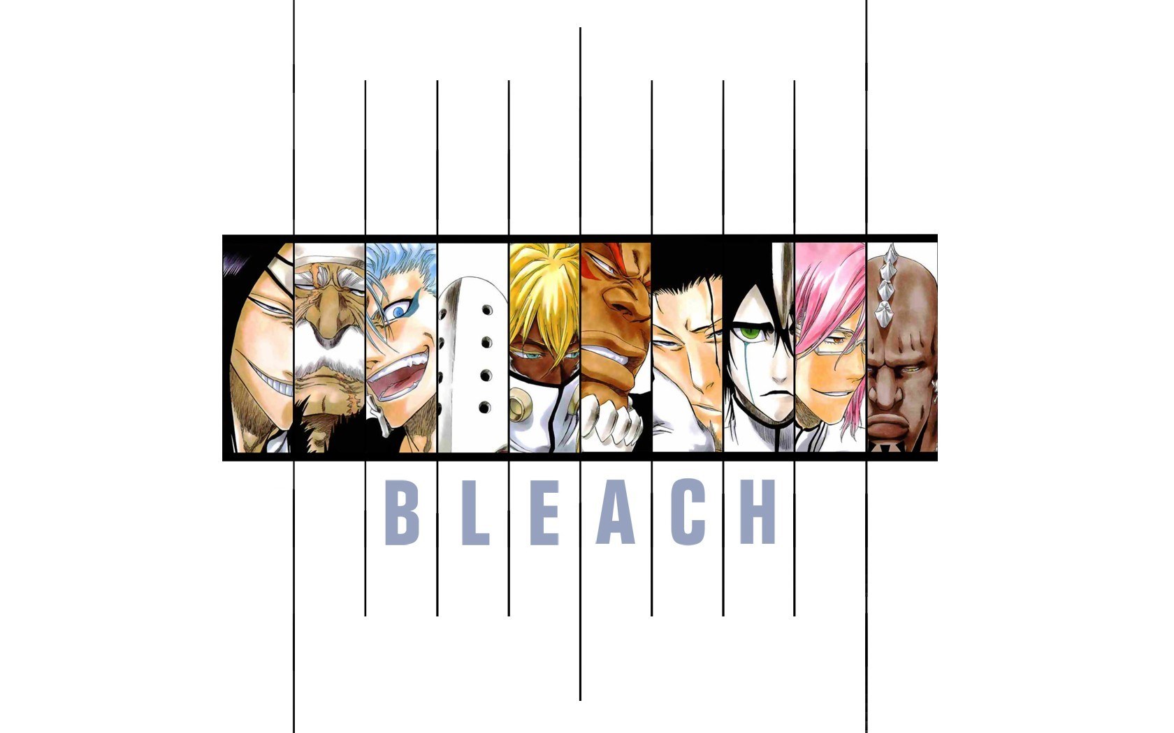 Bleach anime character lineup