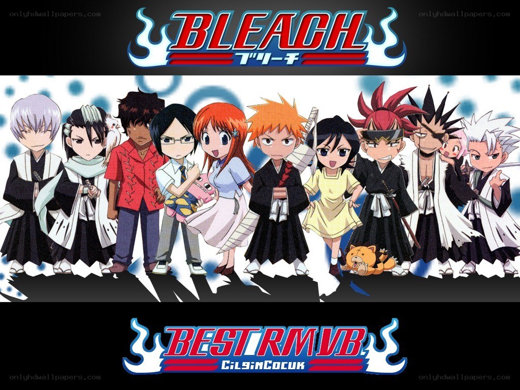 Bleach anime character lineup