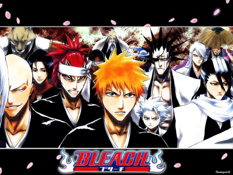 Bleach anime character lineup