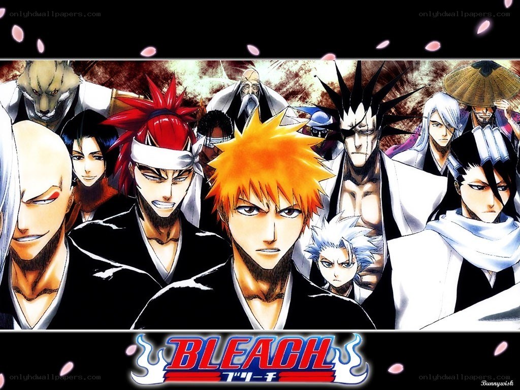 Bleach anime character lineup