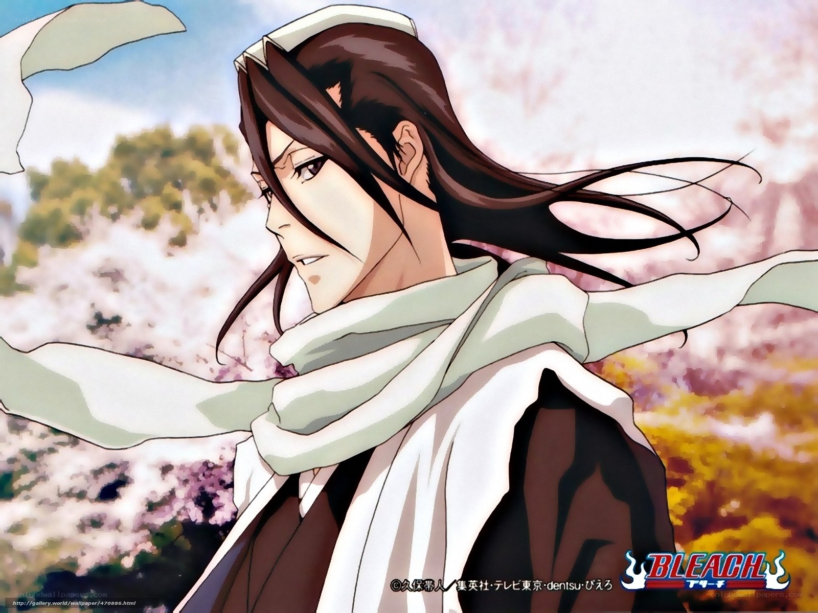 Bleach anime character portrait