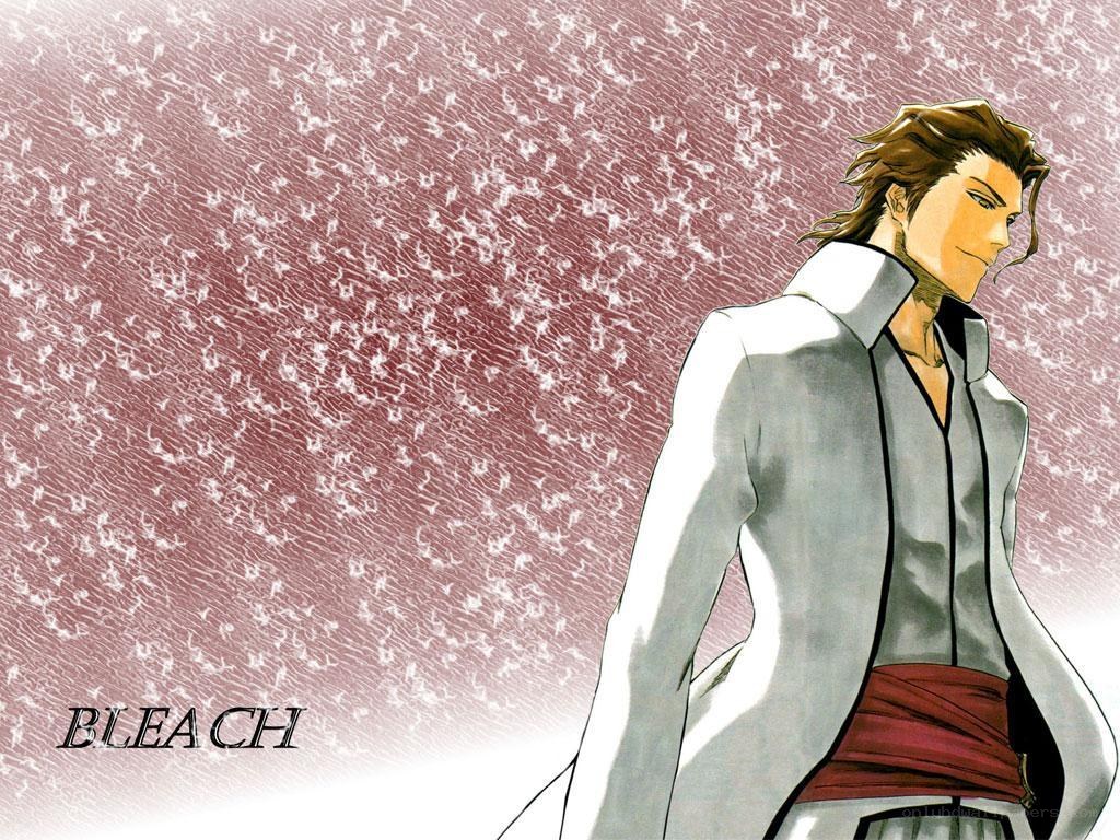 Bleach anime character portrait