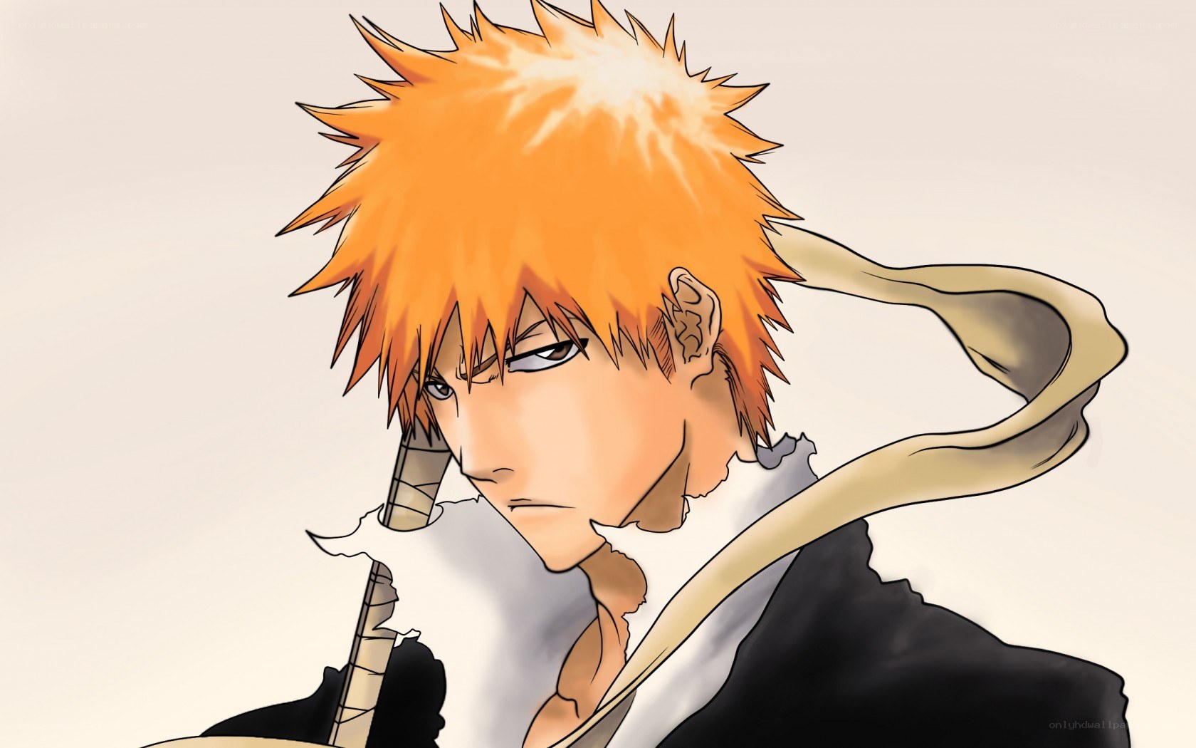 Bleach anime character portrait