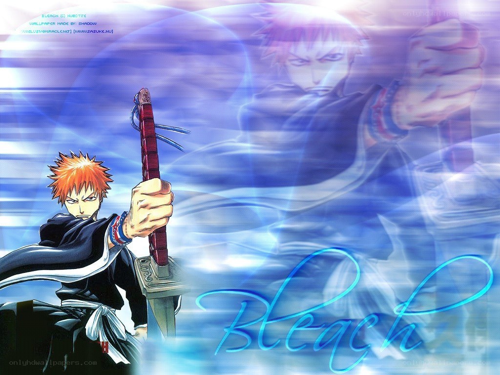 Bleach anime character wallpaper
