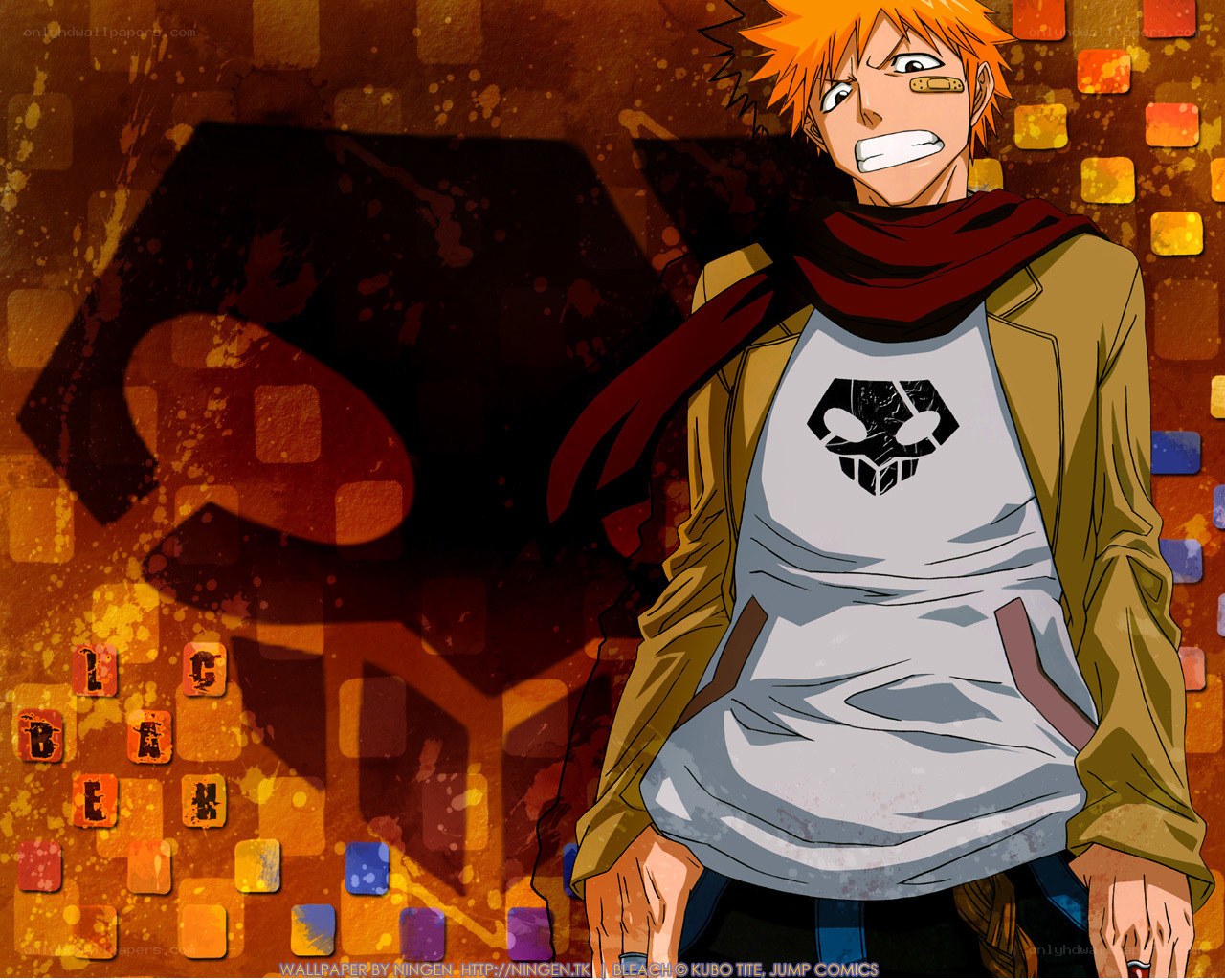 Bleach anime character wallpaper