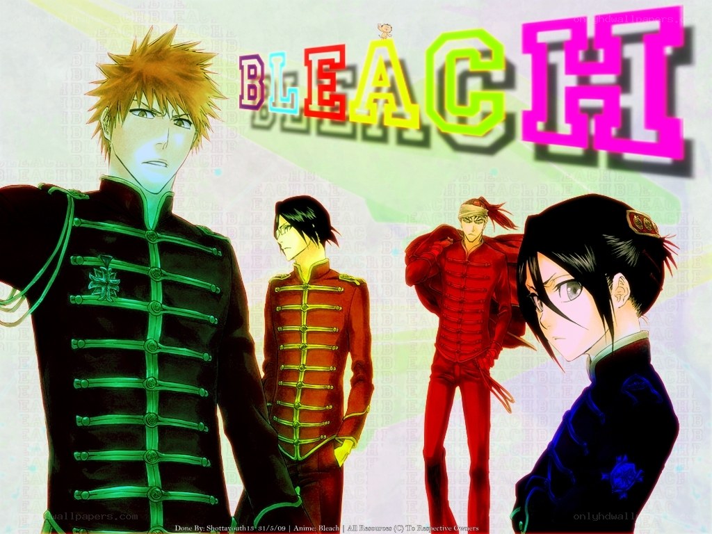 Bleach anime characters