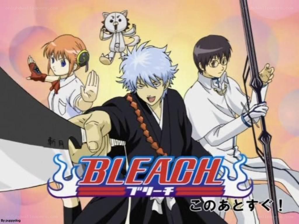Bleach anime characters