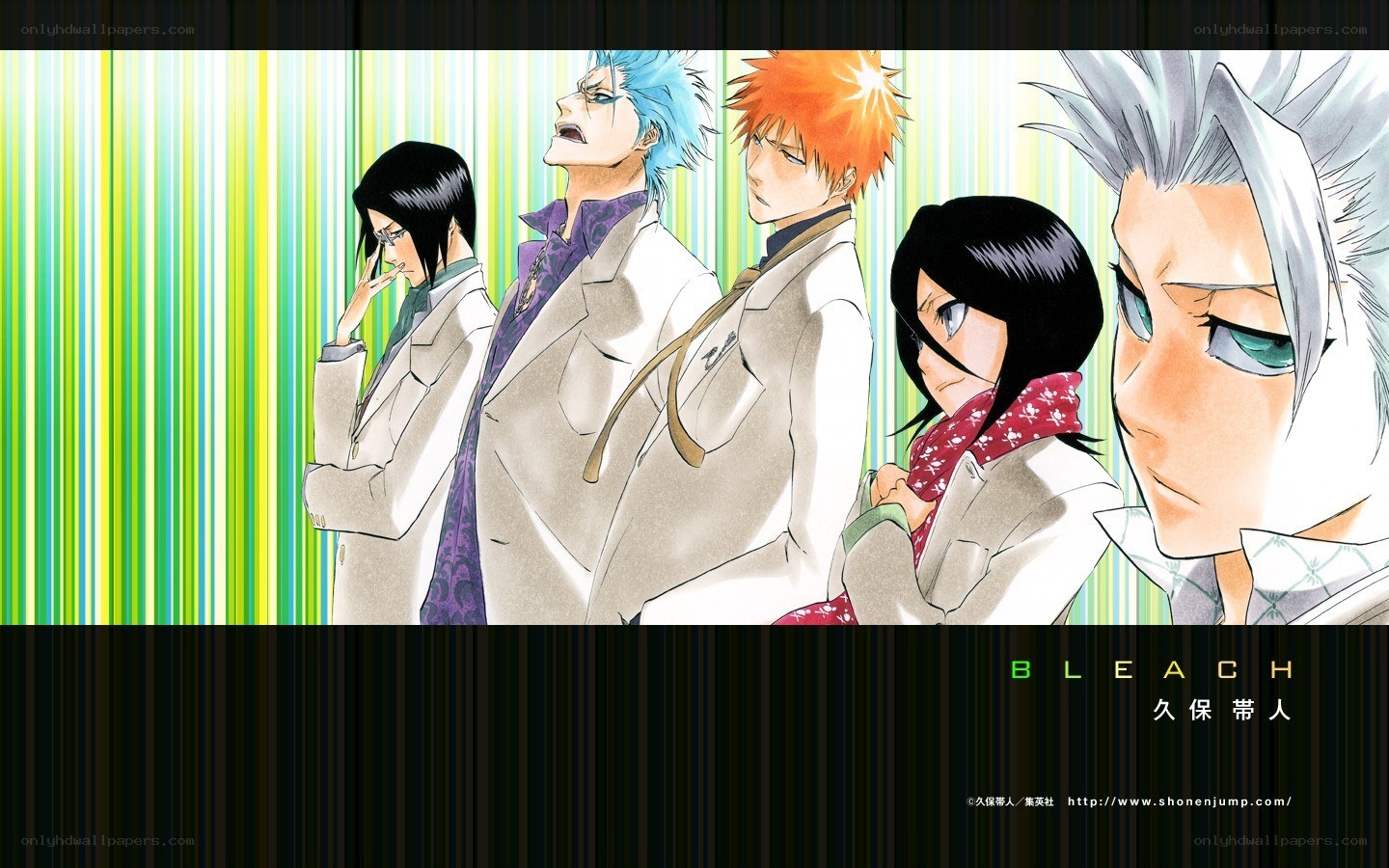 Bleach anime characters