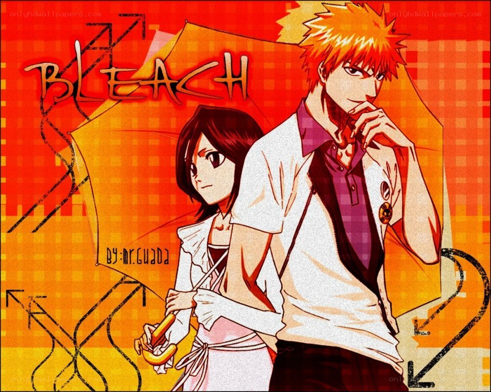 Bleach anime characters