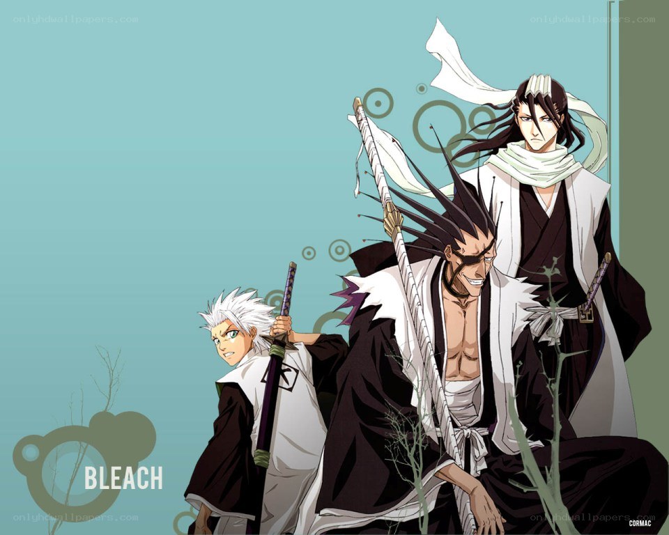 Bleach anime characters