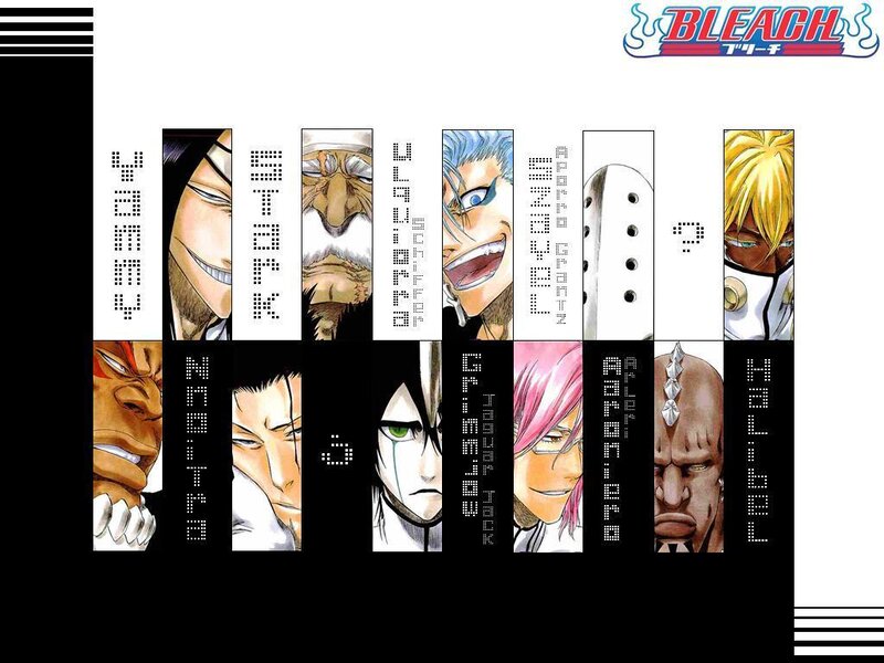 Bleach Anime Characters — Black