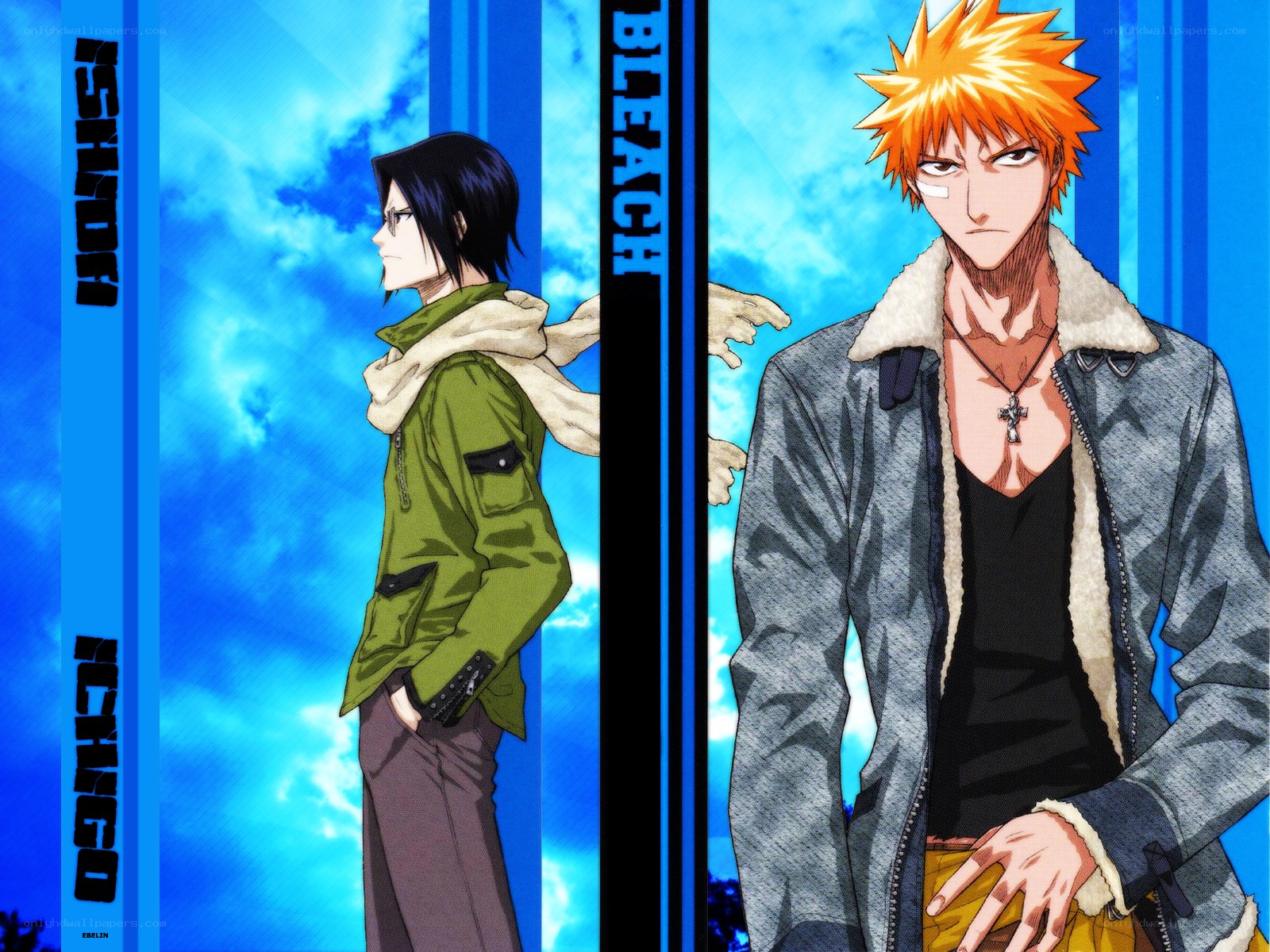 Bleach anime characters Ichigo and Ishida