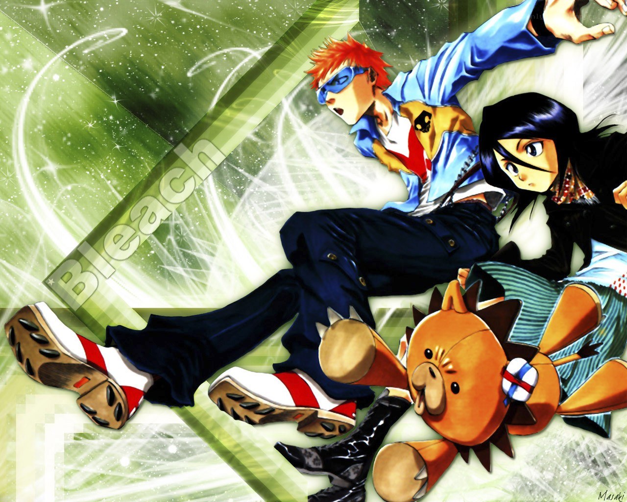 Bleach anime characters in action