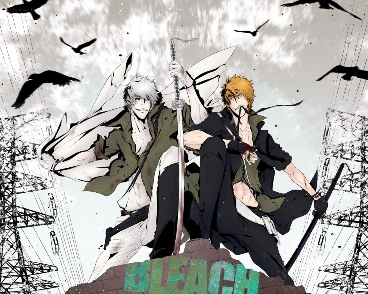 Bleach anime characters in action