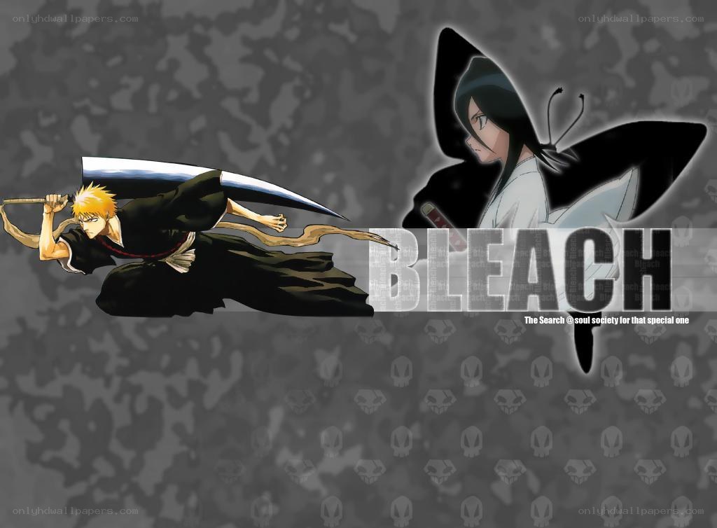 Bleach anime characters in action