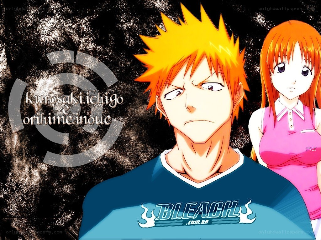 Bleach anime characters wallpaper
