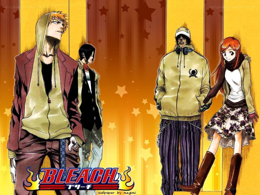 Bleach anime characters wallpaper