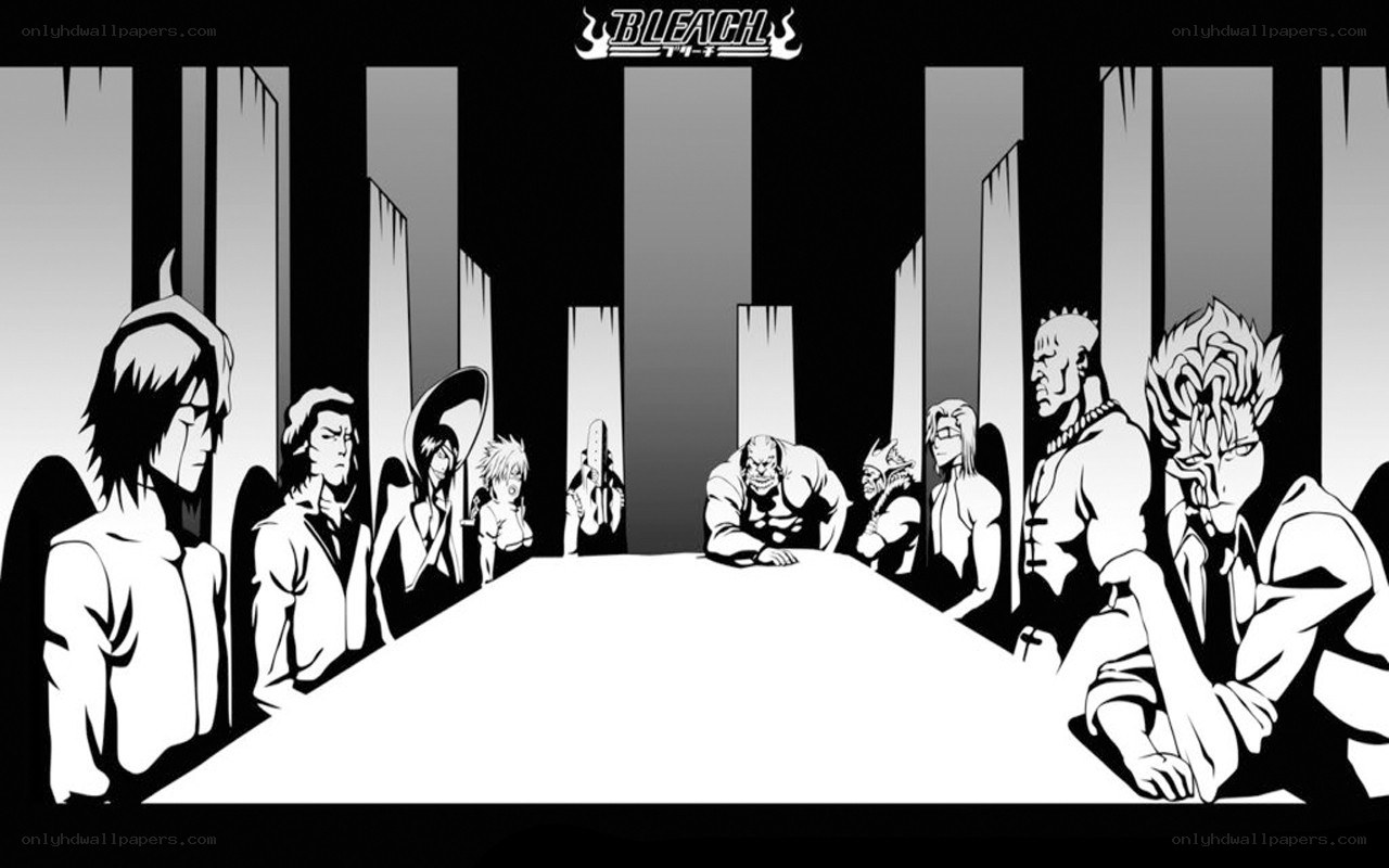 Bleach Arrancar meeting