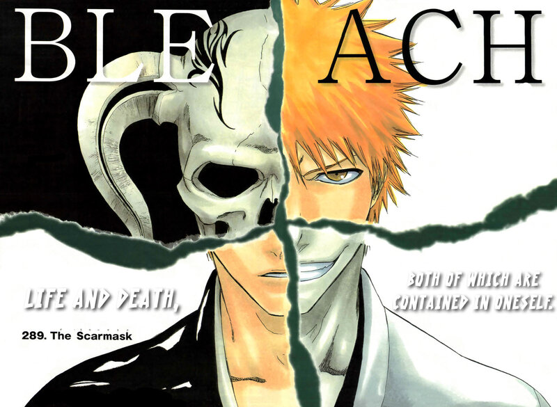 Bleach chapter cover