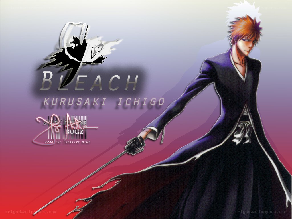 Bleach character art