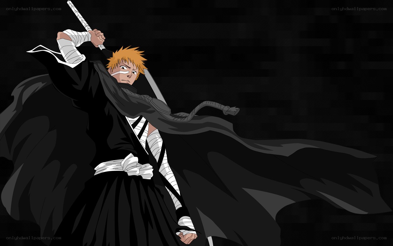 Bleach character in battle