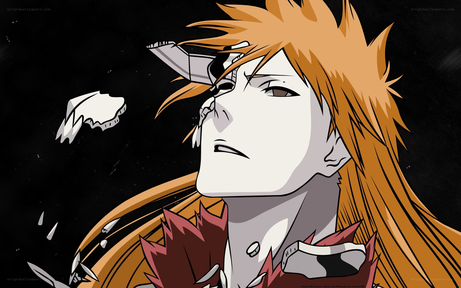 Bleach character in battle