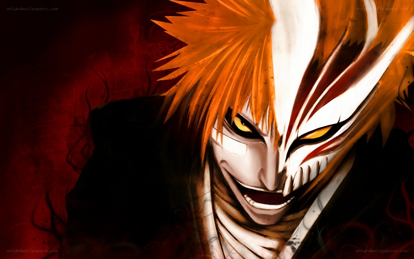 Bleach character in Hollow form