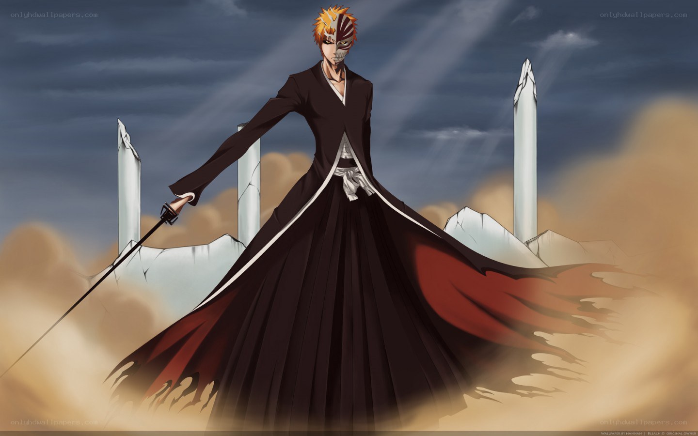 Bleach character in Hollow form