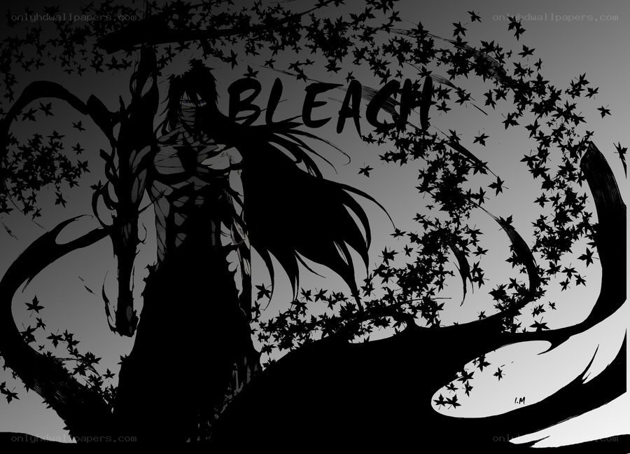 Bleach character silhouette