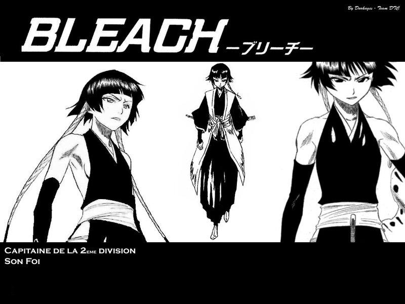 Bleach character Son Foi