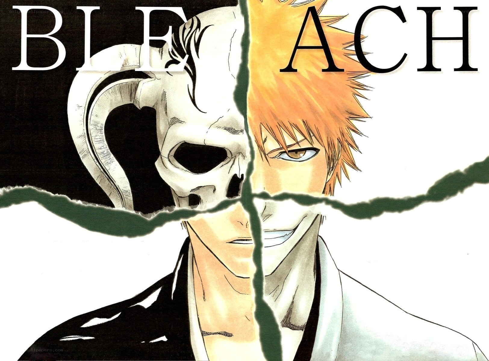 Bleach character split image