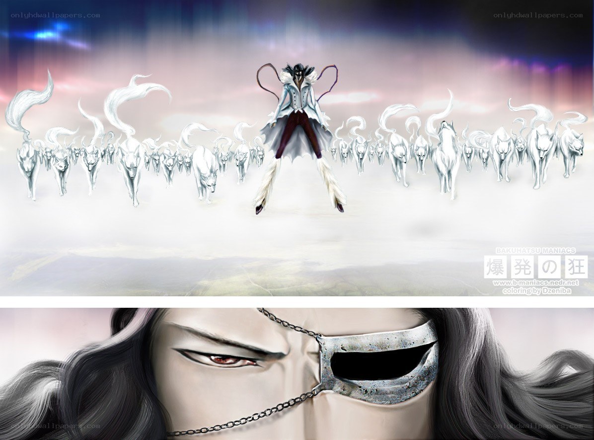 Bleach character with spirit beasts