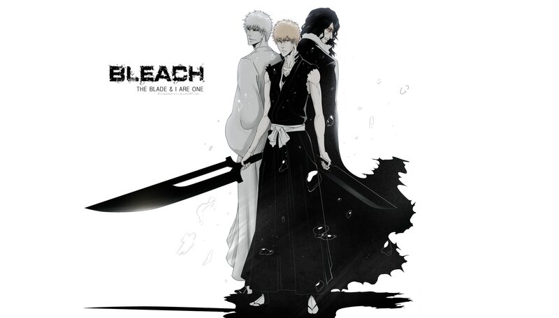 Bleach characters artwork