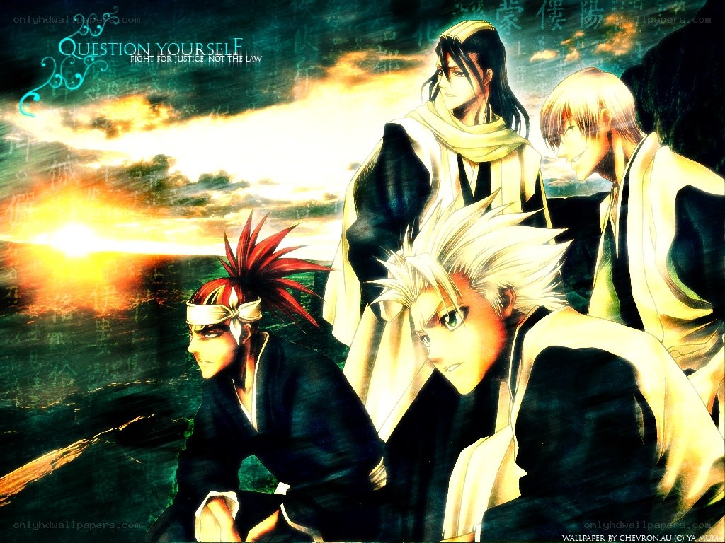 Bleach characters at sunset