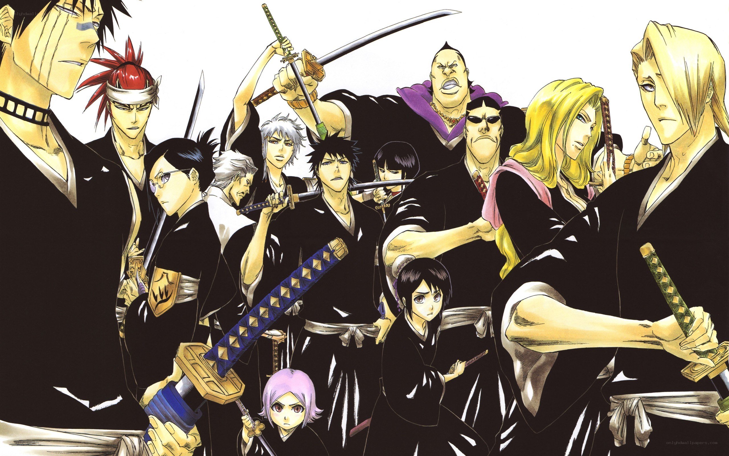 Bleach characters group portrait