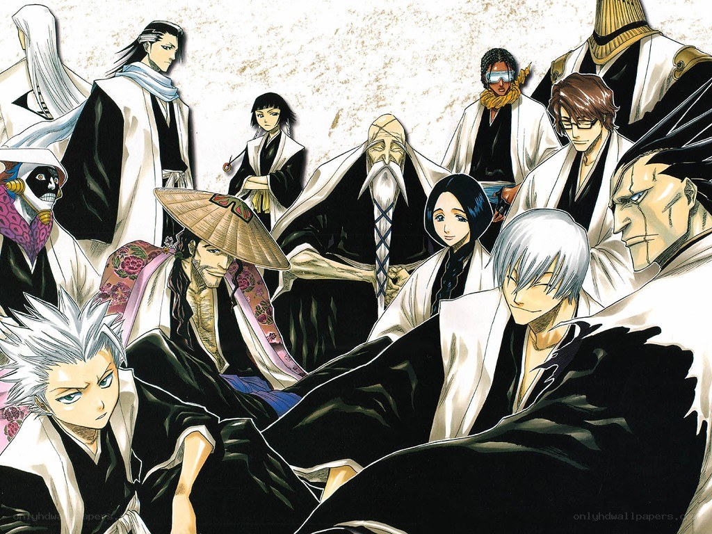 Bleach characters group portrait