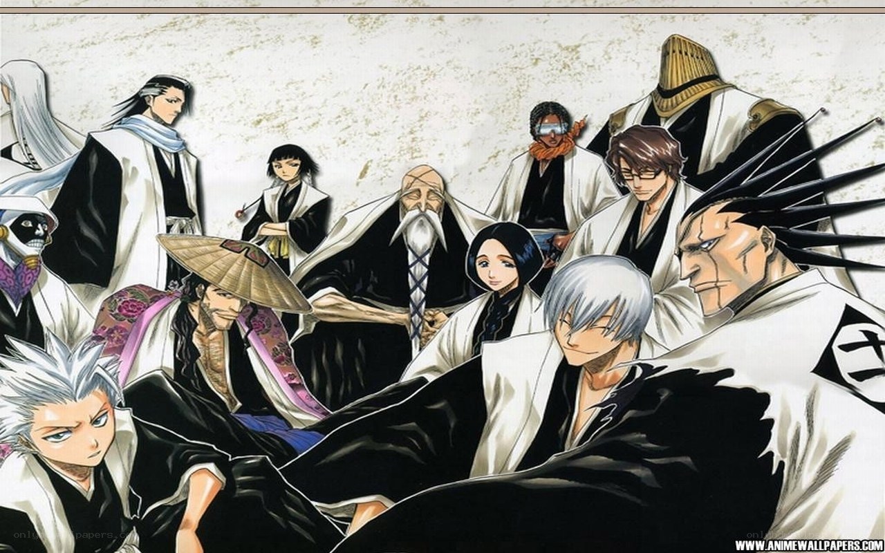 Bleach characters group portrait