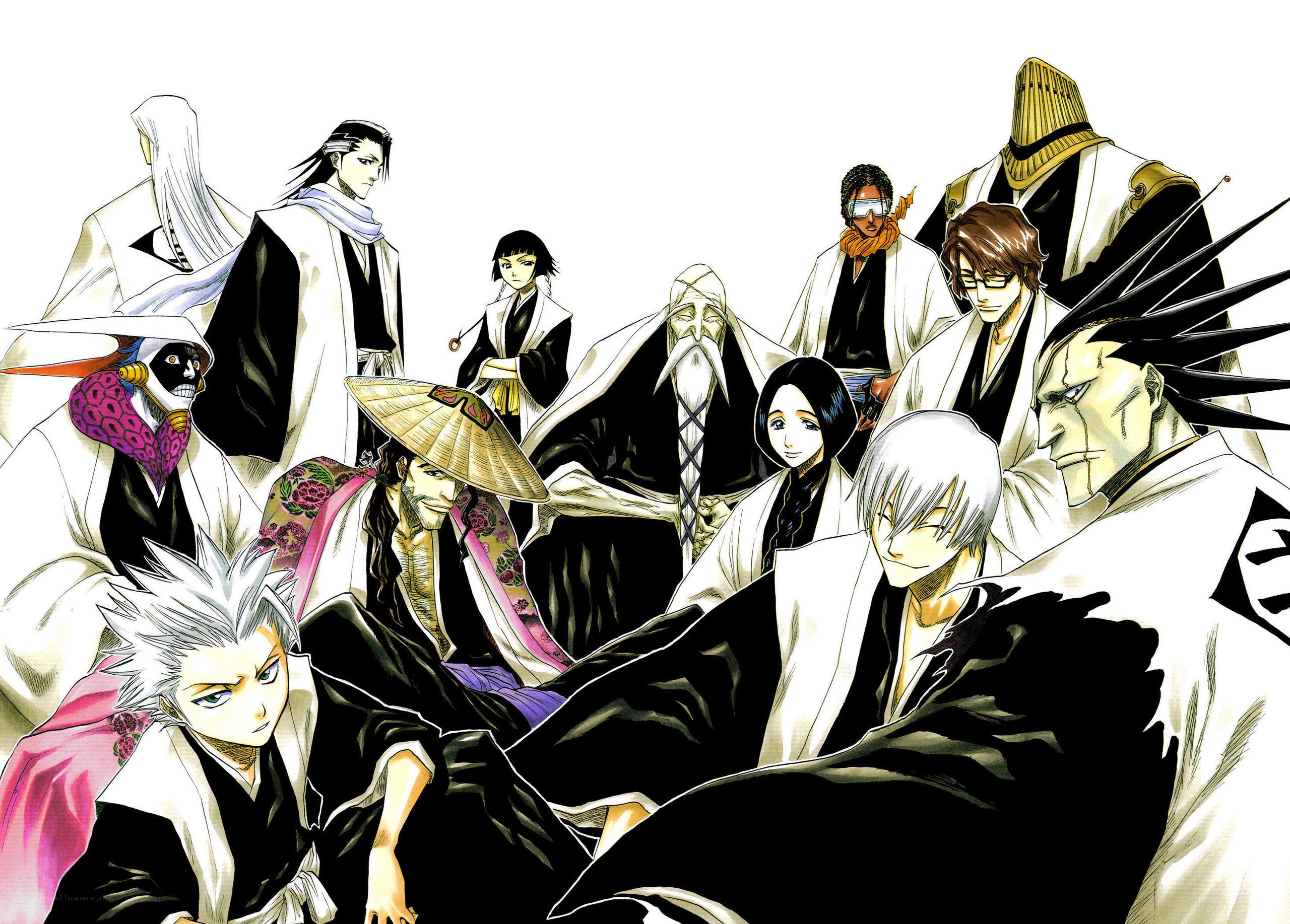Bleach characters group portrait