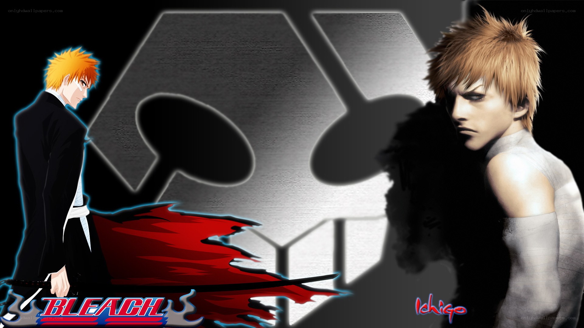 Bleach characters Ichigo and Zangetsu