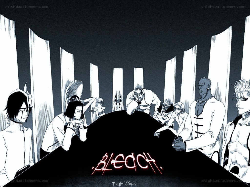 Bleach characters in a meeting