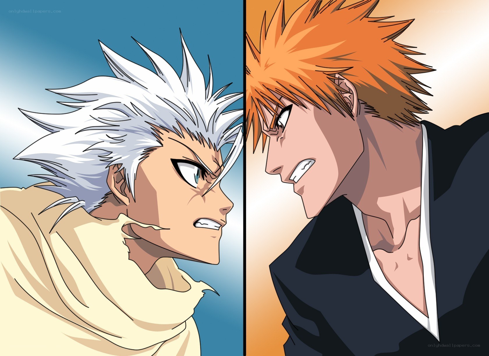Bleach characters in confrontation