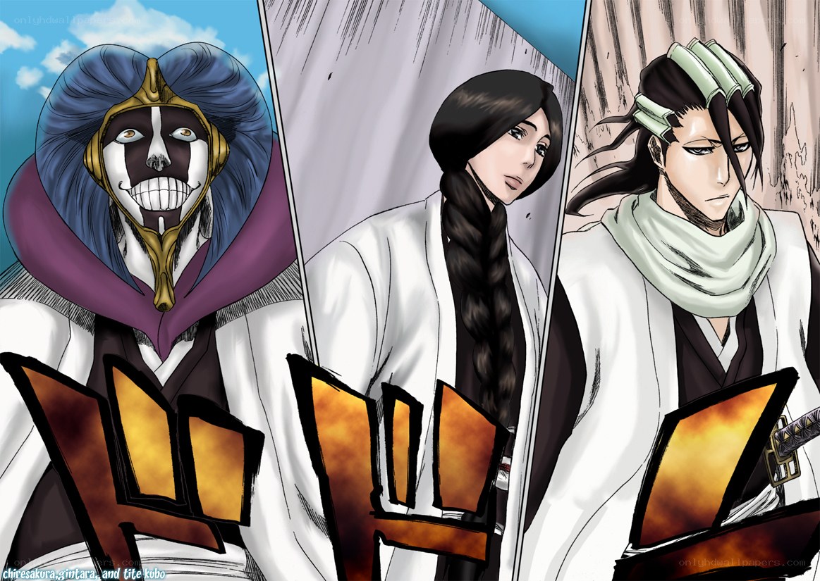 Bleach characters in white robes
